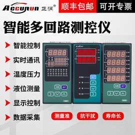 正润四回路数显控制仪高精度双显双光柱数字显示测控仪八液位测控